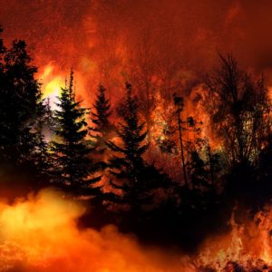 El impacto en la salud del humo de los incendios forestales