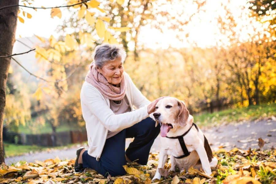 se permiten perros en los parques estatales de colorado